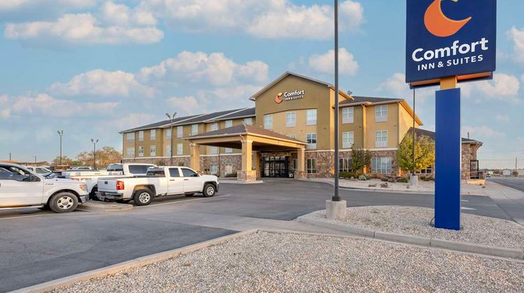 Comfort Inn & Suites-Artesia Exterior