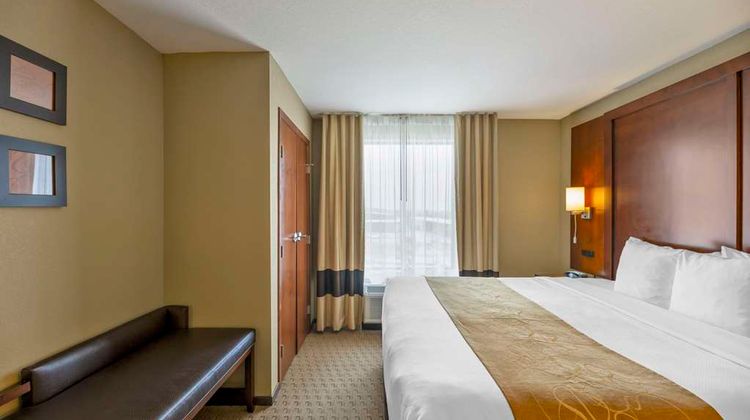 Comfort Suites Suite