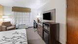 <b>Sleep Inn & Suites, Carlsbad Room</b>. Images powered by <a href="https://iceportal.shijigroup.com/" title="IcePortal" target="_blank">IcePortal</a>.