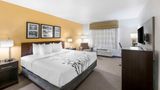 <b>Sleep Inn & Suites, Carlsbad Room</b>. Images powered by <a href="https://iceportal.shijigroup.com/" title="IcePortal" target="_blank">IcePortal</a>.