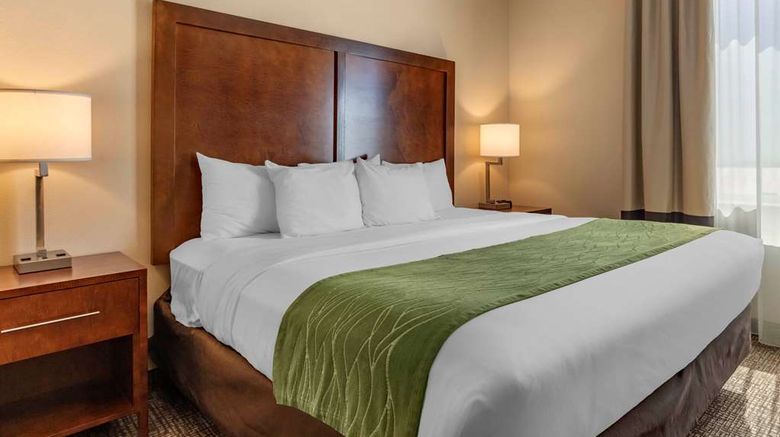 <b>Comfort Inn and Suites Edgewood Room</b>. Images powered by <a href="https://iceportal.shijigroup.com/" title="IcePortal" target="_blank">IcePortal</a>.
