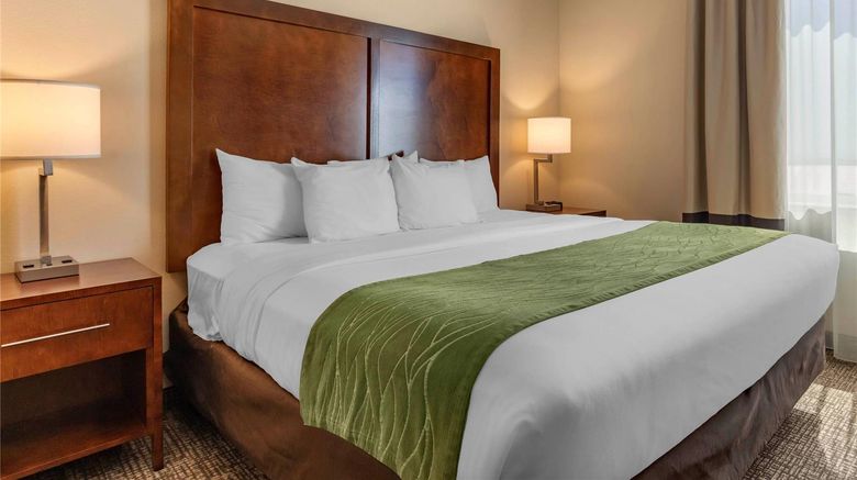 <b>Comfort Inn and Suites Edgewood Room</b>. Images powered by <a href="https://iceportal.shijigroup.com/" title="IcePortal" target="_blank">IcePortal</a>.