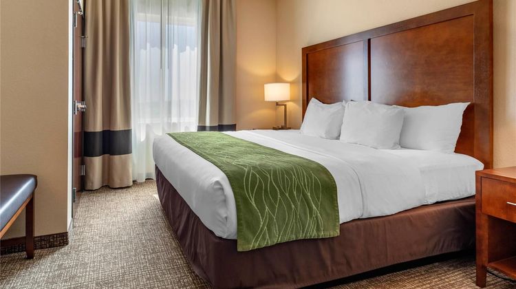 Comfort Inn and Suites Edgewood Suite