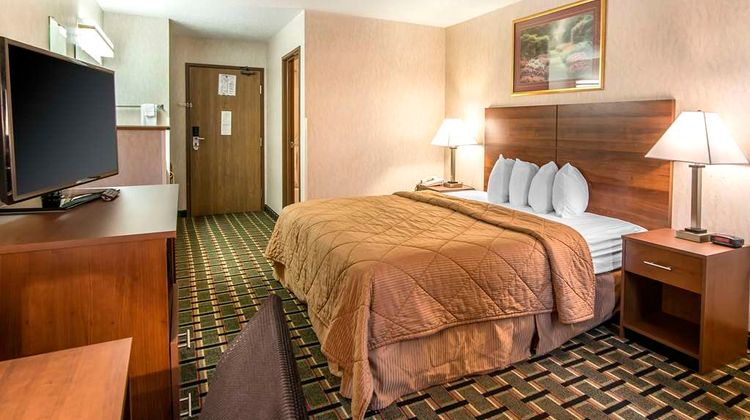 Quality Inn Room