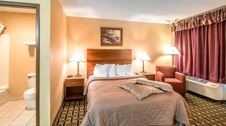 Quality Inn Room