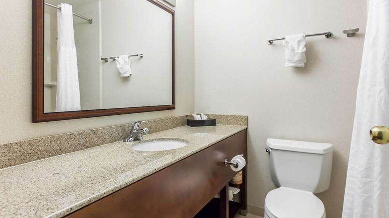 <b>Comfort Inn Near Fallon Naval AirStation Room</b>. Images powered by <a href="https://iceportal.shijigroup.com/" title="IcePortal" target="_blank">IcePortal</a>.