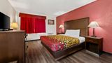 <b>Econo Lodge Room</b>. Images powered by <a href="https://iceportal.shijigroup.com/" title="IcePortal" target="_blank">IcePortal</a>.