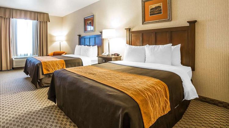 Comfort Inn & Suites Henderson Room