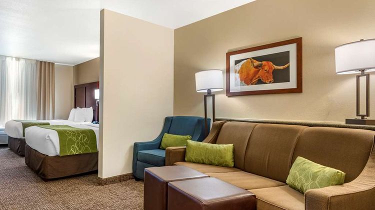 Comfort Suites Suite