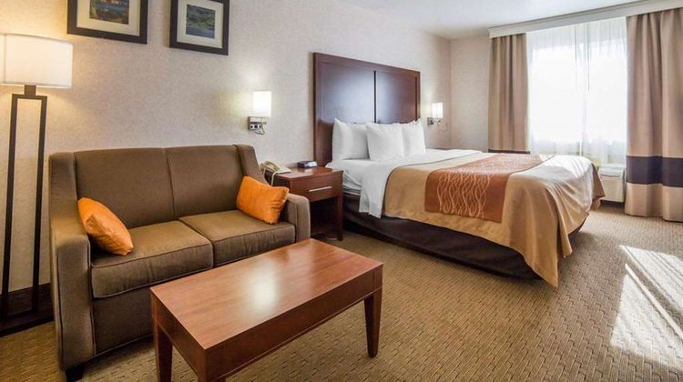 Comfort Inn Elko Room