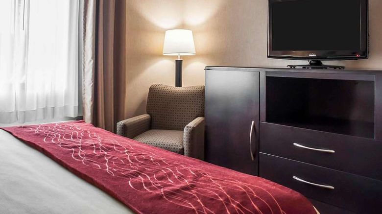 <b>Quality Inn Room</b>. Images powered by <a href="https://iceportal.shijigroup.com/" title="IcePortal" target="_blank">IcePortal</a>.