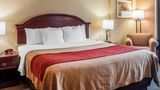 Quality Inn near Walden Galleria Mall Room