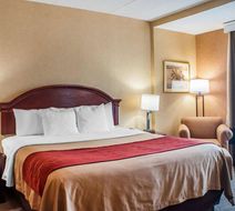Quality Inn near Walden Galleria Mall Room
