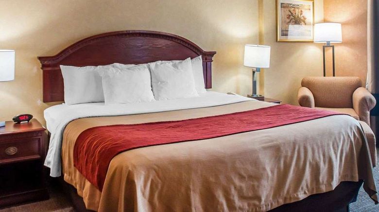 <b>Quality Inn near Walden Galleria Mall Room</b>. Images powered by <a href="https://iceportal.shijigroup.com/" title="IcePortal" target="_blank">IcePortal</a>.
