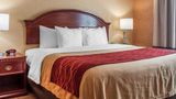 Quality Inn near Walden Galleria Mall Room