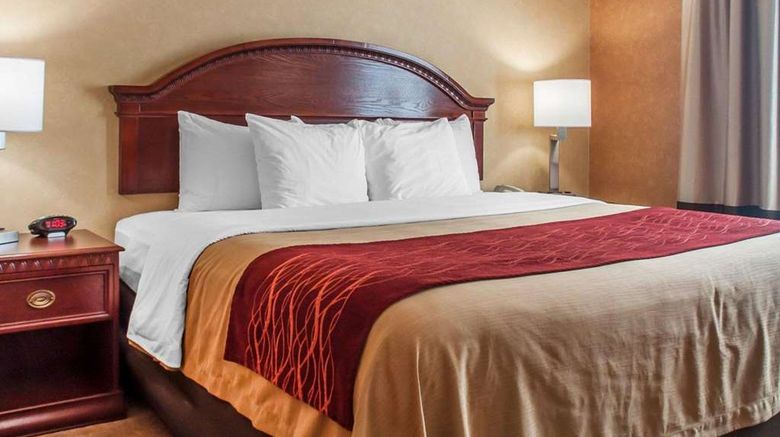 <b>Quality Inn near Walden Galleria Mall Room</b>. Images powered by <a href="https://iceportal.shijigroup.com/" title="IcePortal" target="_blank">IcePortal</a>.