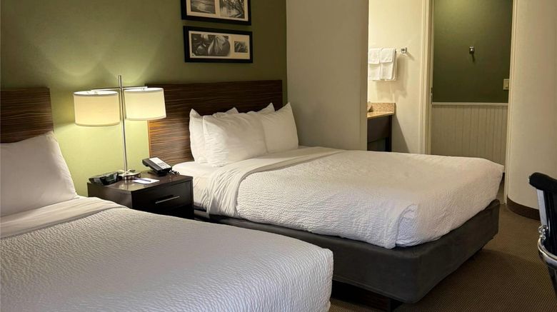 <b>Sleep Inn & Suites Room</b>. Images powered by <a href="https://iceportal.shijigroup.com/" title="IcePortal" target="_blank">IcePortal</a>.
