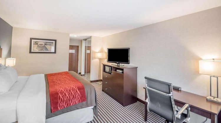 Quality Inn Room