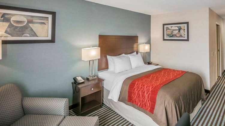 Quality Inn Room