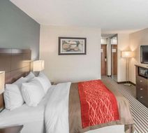 Quality Inn Room