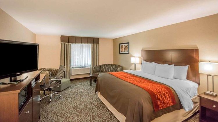 Quality Inn Suite