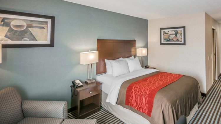 Quality Inn Room