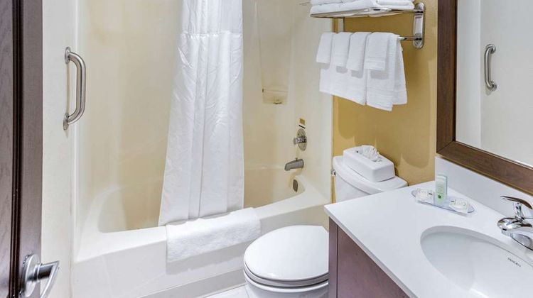 Quality Inn & Suites Suite