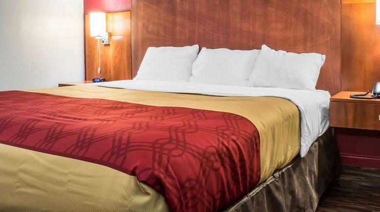 <b>Econo Lodge Room</b>. Images powered by <a href="https://iceportal.shijigroup.com/" title="IcePortal" target="_blank">IcePortal</a>.