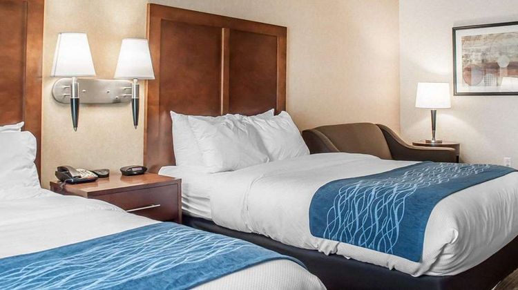 Comfort Inn & Suites Room