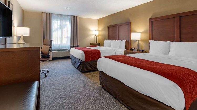 Comfort Inn Room