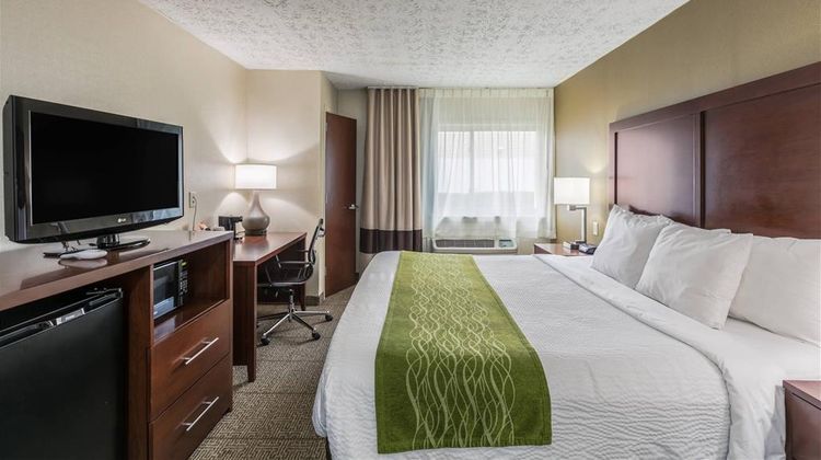 Comfort Inn Room
