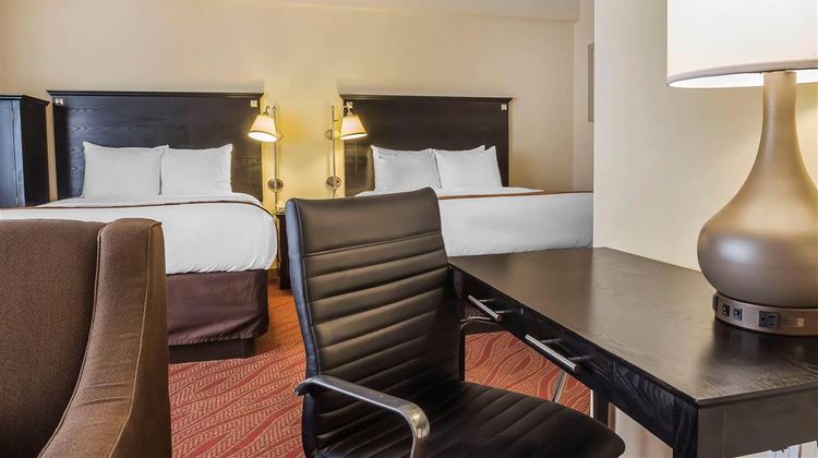 Comfort Inn & Suites Airport Room