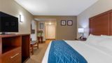 Comfort Inn Suite