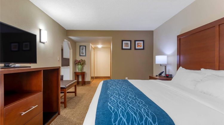 Comfort Inn Suite