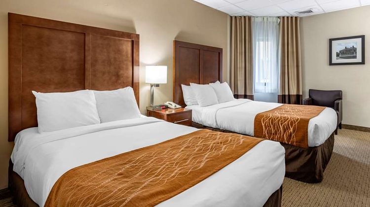 Comfort Inn Syosset Room