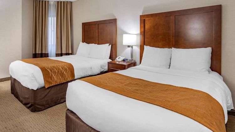 Comfort Inn Syosset Suite