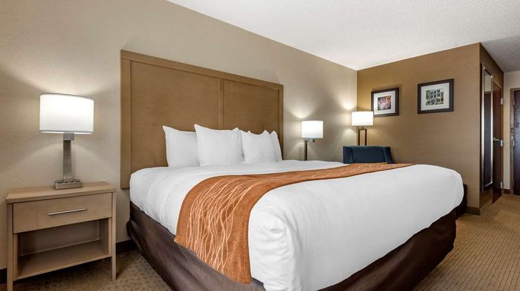 Comfort Inn & Suites Farmington Room
