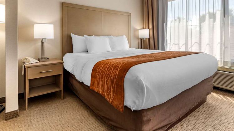 Comfort Inn & Suites Farmington Suite