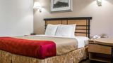 <b>Econo Lodge COLONIE CENTER MALL Room</b>. Images powered by <a href="https://iceportal.shijigroup.com/" title="IcePortal" target="_blank">IcePortal</a>.