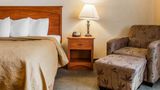Quality Hotel & Suites at the Falls Suite