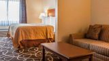 Quality Hotel & Suites at the Falls Suite
