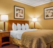 Clarion Hotel & Suites Riverfront Room