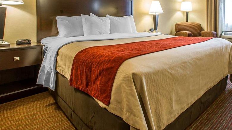 <b>Quality Inn Greenville Room</b>. Images powered by <a href="https://iceportal.shijigroup.com/" title="IcePortal" target="_blank">IcePortal</a>.