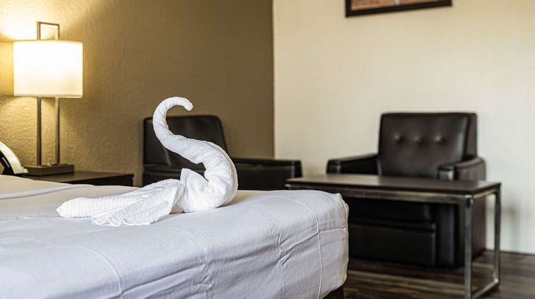 <b>Econo Lodge Room</b>. Images powered by <a href="https://iceportal.shijigroup.com/" title="IcePortal" target="_blank">IcePortal</a>.