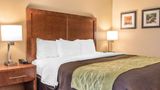 Comfort Inn And Suites Piqua near Troy I75 Room