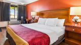 Econo Lodge Room