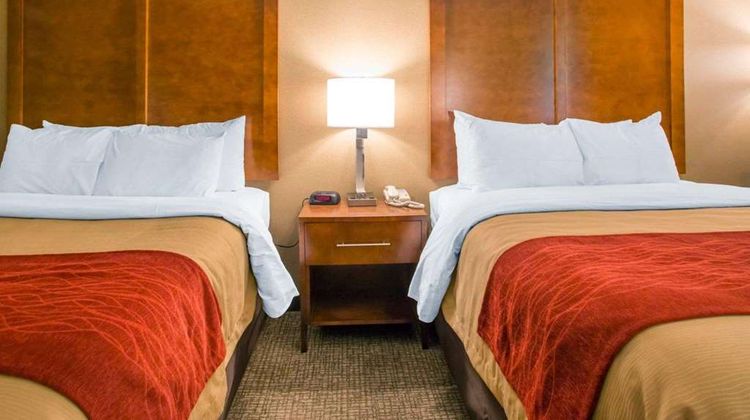 Comfort Inn Room