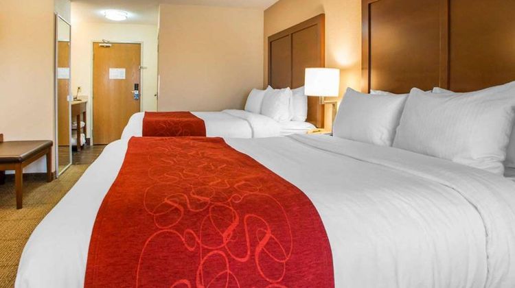 Comfort Suites Suite