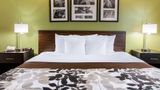 <b>Sleep Inn & Suites Room</b>. Images powered by <a href="https://iceportal.shijigroup.com/" title="IcePortal" target="_blank">IcePortal</a>.