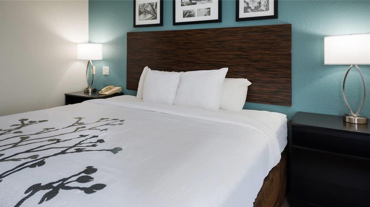 Sleep Inn and Suites Port Clinton Room